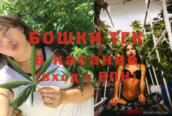 прущие крисы Абаза
