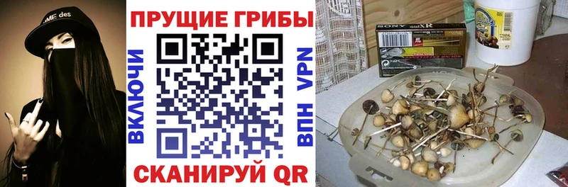 Галлюциногенные грибы ЛСД  Бирюсинск 